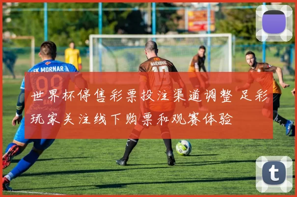 世界杯停售彩票投注渠道调整 足彩玩家关注线下购票和观赛体验
