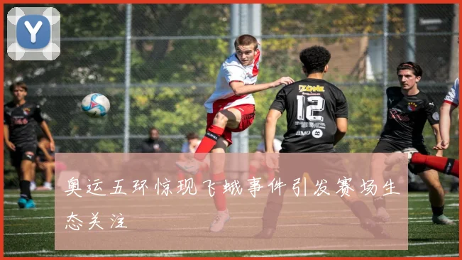 奥运五环惊现飞蛾事件引发赛场生态关注