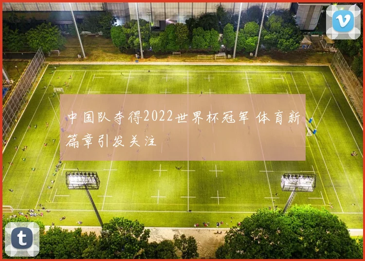 中国队夺得2022世界杯冠军 体育新篇章引发关注